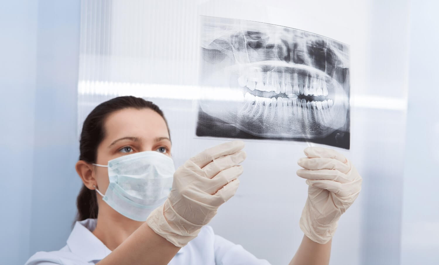 dentist examining a patient x-ray